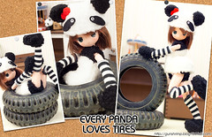 Every Panda Loves Tires:)
