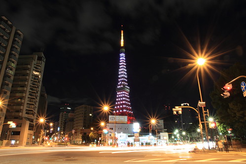 Happy new year 2013 with Tokyo Tower