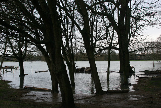 Flooding at Christchurch Meadow, Oxford
