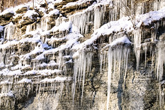 Icicles Along Sim Hodgin Parkway