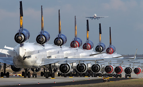 8 X MD-11's in one picture @ FRA D-ALCL, D-ALCA, D-ALCB, D-ALCD, D-ALCS, D-ALCF, D-ALCP and D-ALCI is at final.