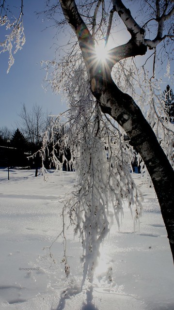 anteketborka.blogspot.com, hiver13_6