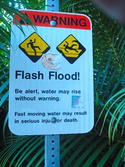 warn_flood