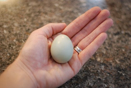 The first egg