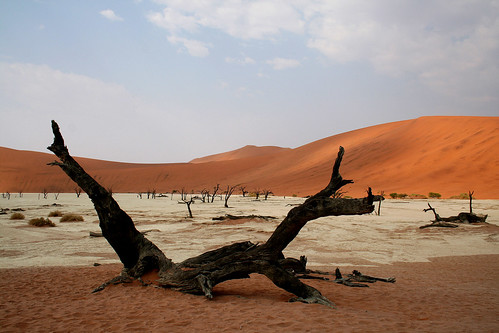 The Dead Vlei, Sossusvlei, Namibia