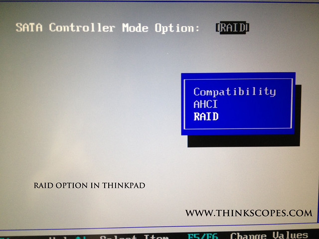 ThinkPad with RAID option