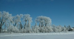 Prairie Winter 2000 - 