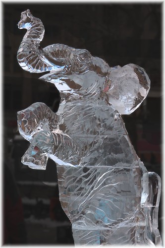 New Year's Eve Ice Sculpture by brooksbos