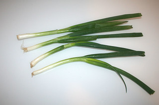 02 - Zutat Frühlingszwiebeln / Ingredient spring onions