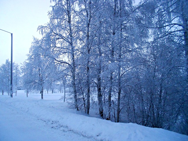 talvi1