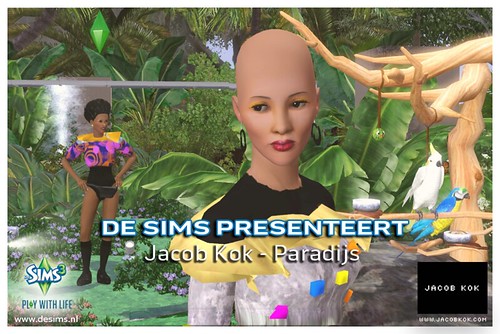 Jacob Kok in game Paradijs single