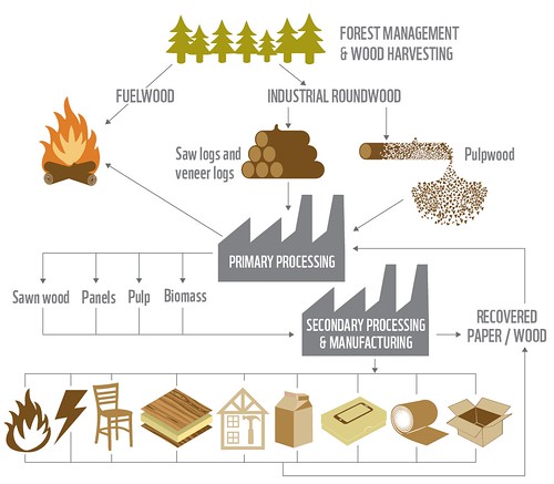 森林產品物質流，WWF提供。