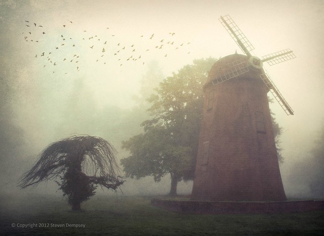 The Windmill and the Old Tree