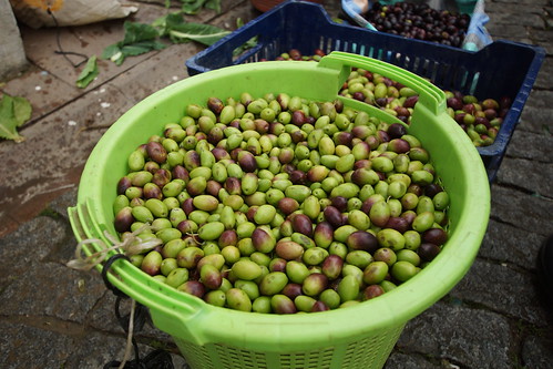 Fresh olives from Tire by CharlesFred