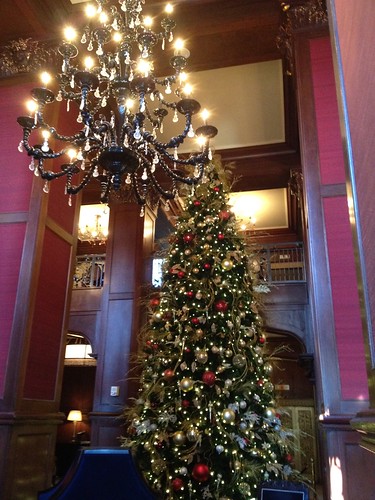 Gorgeous tree in the lobby of the Skirvin