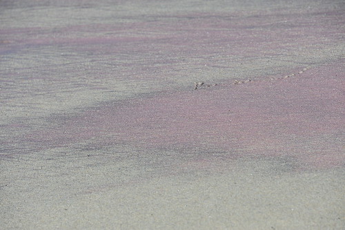 Purple Sand