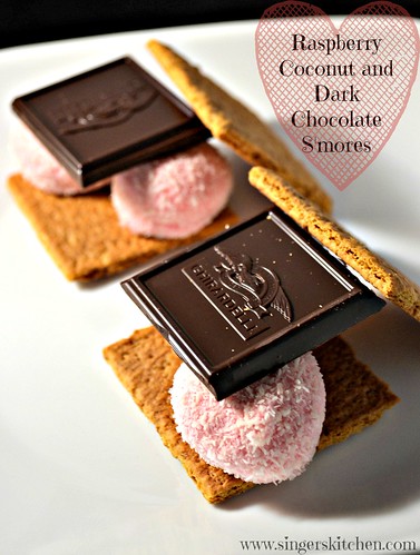Raspberry Coconut and Dark Chocolate S'mores