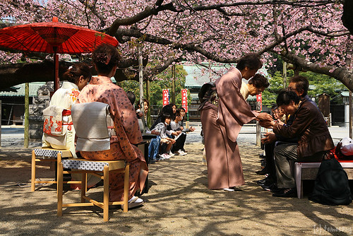 NODATE tea ceremony