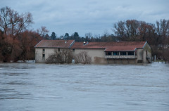 La Moselle - Ferme et moulin inondés