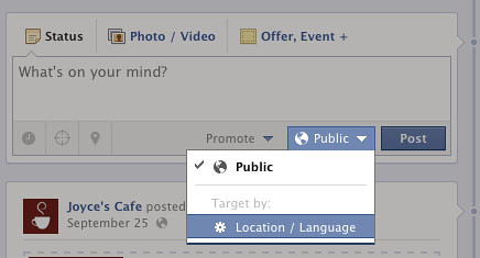 Limit your Post's Audience in Facebook Page