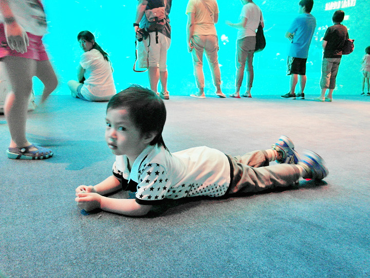 cute kid at S.E.A. Aquarium world’s largest aquarium
