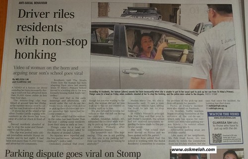 ugly singaporean woman driver riles residents with non-stop honking