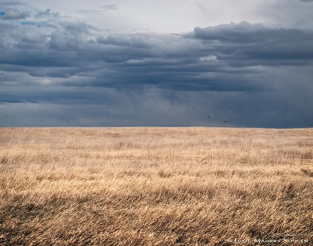 a dramatic stormy sky over Colorado's high plains and two lone birds flying along the horizon