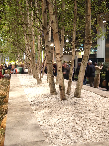 white birches, probably the most beautiful thing at the show