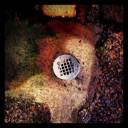 drain by Nature Morte