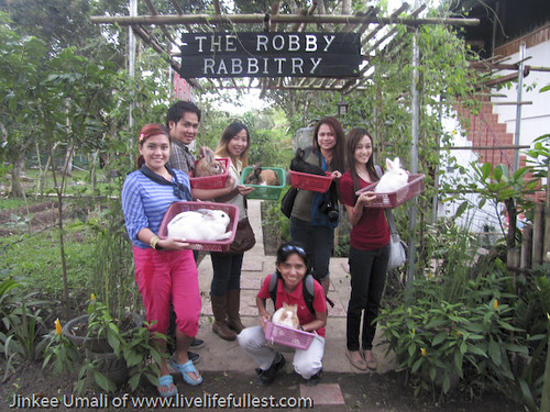 Robby Rabbitry Farm by Jinkee Umali of www.livelifefullest.com