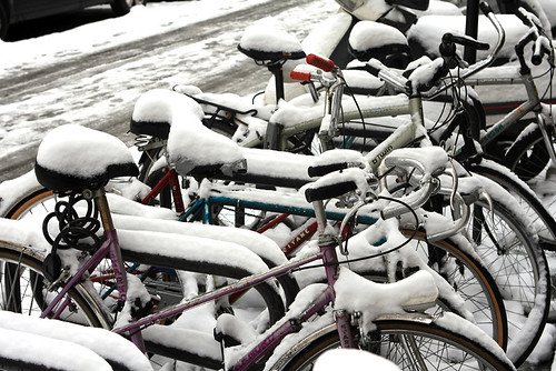 snowy bicycles