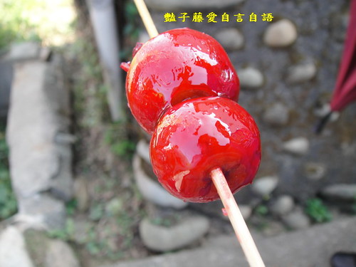 烏來仔糖  ( Pyrus Kawakamii 台湾野梨 )