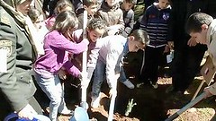 阿爾及利亞學童種樹慶祝2013年3月21日國際森林日。(照片提供：FAO)