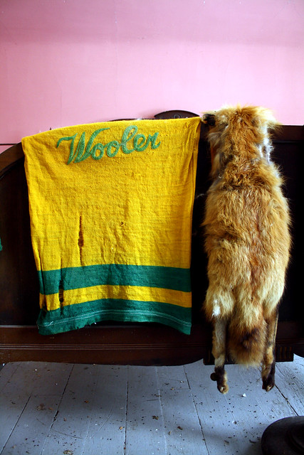 Wooler jersey and fox stole