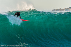 Carmel Surfers