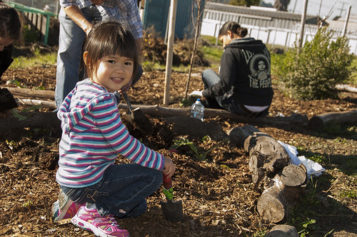 Maya Kwok, 3, helps during a planting project at the Richmond, Calif., Edible Forest as part of the Martin Luther King Jr. Day of Service. Maya is the daughter of Alfred Kwok, director of operations for the U.S. Forest Service’s Pacific Southwest Research Station. (US Forest Service photo)