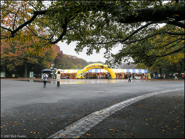 Ueno Park--Flea Market