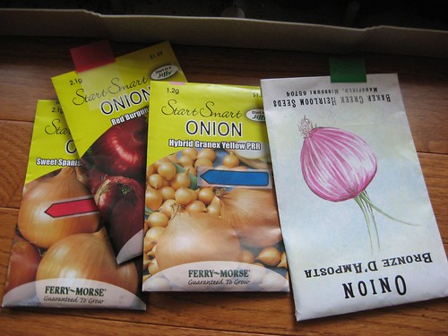 Seed starting onions