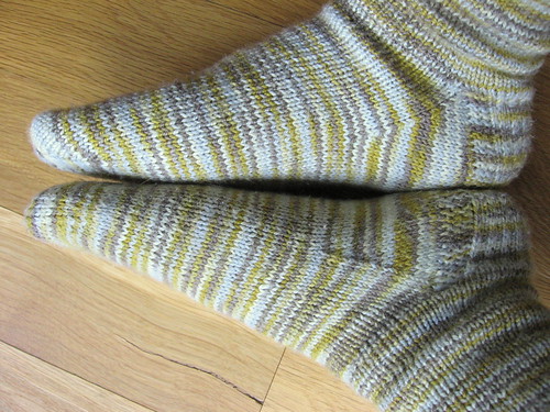 stacatto socks 2