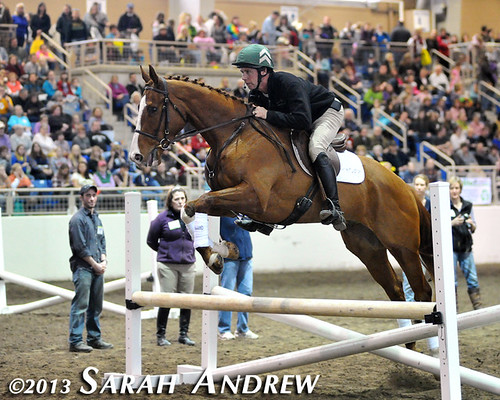 Steuart Pittman and Alluring Punch at the PA Horse World Expo