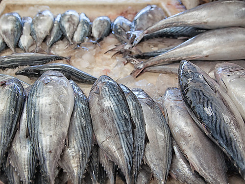 Dubai Fish Market #03