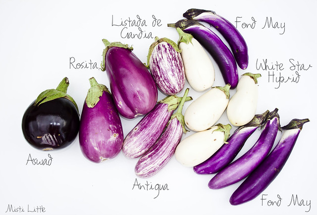 eggplants_map