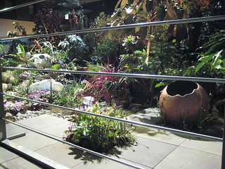 NWFGS 2013 View from cage