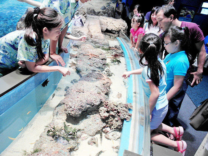 kids S.E.A. Aquarium world’s largest aquarium