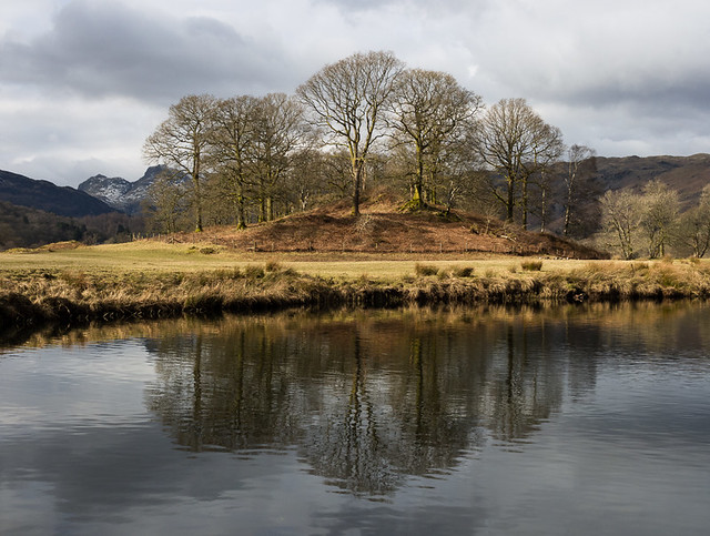 Elterwater trees in colour