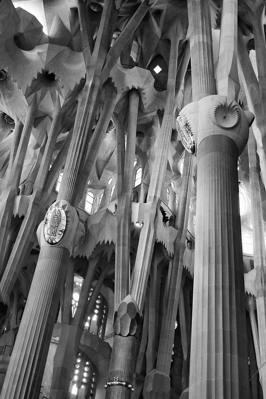 Forest of Columns