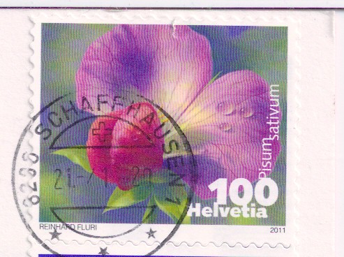 Switzerland Postage Stamp