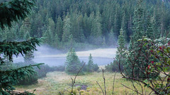 Poranna mgła w Dolinie Rybiego Potoku.