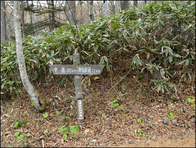Path to Togakushi Oku Shrine