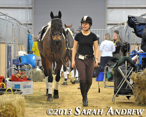 Suave Jazz and Katie Klenk at the PA Horse World Expo